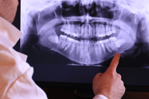 Best Emergency X-Rays and Diagnostics in Kenton, OH